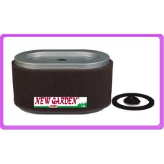 Filtro de aire tractor cortacésped motor VANGUARD 797033 797378 BRIGGS | Newgardenstore.eu