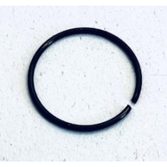 Anello elastico 17,2X1 ORIGINALE GOLDONI 00018134 06240108 | Newgardenstore.eu