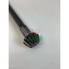 ORIGINAL GOLDONI 00002679 bevel pinion | Newgardenstore.eu