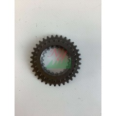 Ingranaggio selezione marce ORIGINALE GOLDONI 00006193 | Newgardenstore.eu