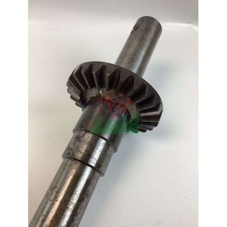 Engranaje cónico ORIGINAL GOLDONI 00015134 con eje de corte de 25 dientes | Newgardenstore.eu