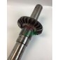 Engrenage conique ORIGINAL GOLDONI 00015134 avec arbre de coupe à 25 dents