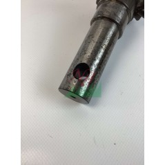 ORIGINAL GOLDONI 00015134 bevel gear with 25-tooth cutter shaft | Newgardenstore.eu