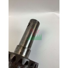 ORIGINAL GOLDONI 00015134 bevel gear with 25-tooth cutter shaft | Newgardenstore.eu