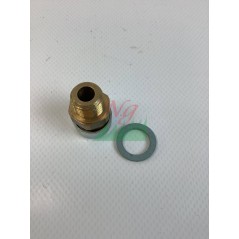 1/4 VENT PLUG AND VALVE ORIGINAL GOLDONI 06340370 | Newgardenstore.eu