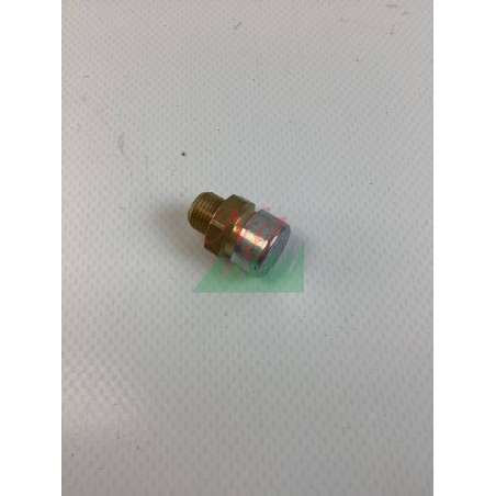 ENTLÜFTUNGSKAPPE 1/8 UND VENTIL ORIGINAL GOLDONI 06340433 | Newgardenstore.eu