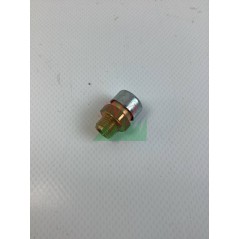1/8 VENT PLUG AND VALVE ORIGINAL GOLDONI 06340433 | Newgardenstore.eu