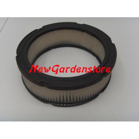 Filtro aria trattorino rasaerba VANGUARD OHV BRIGGS & STRATTON 394018 192011 | Newgardenstore.eu