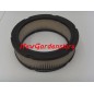 Filtro aria trattorino rasaerba VANGUARD OHV BRIGGS & STRATTON 394018 ORIGINALE