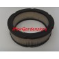 Filtro aria trattorino rasaerba VANGUARD OHV BRIGGS & STRATTON 394018 ORIGINALE