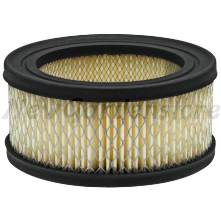 Filtro aria trattorino tagliaerba compatibile BRIGGS & STRATTON 392286 | Newgardenstore.eu