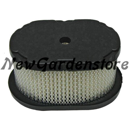 Filtre à air tracteur tondeuse compatible BRIGGS & STRATTON 494586 | Newgardenstore.eu