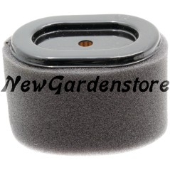 Filtro de aire tractor de césped cortacésped compatible BRIGGS & STRATTON 796970 | Newgardenstore.eu