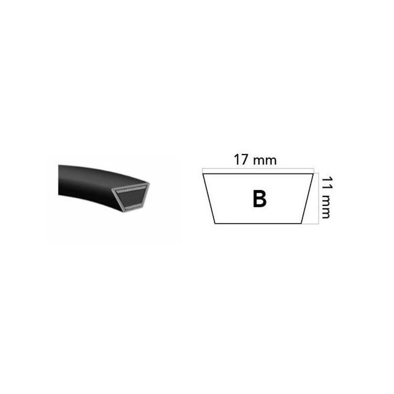 Courroie pour tondeuse à gazon B48 1284 mm 650048