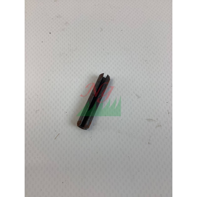 Spina elastica 6X32 ORIGINALE GOLDONI 06260025