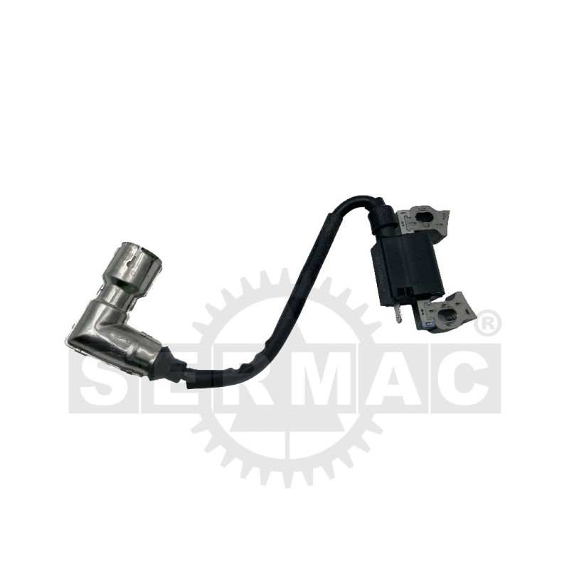 ACCENSIONE ELETTRONICA 54.100.1168 ORIGINALE PRO.TOP