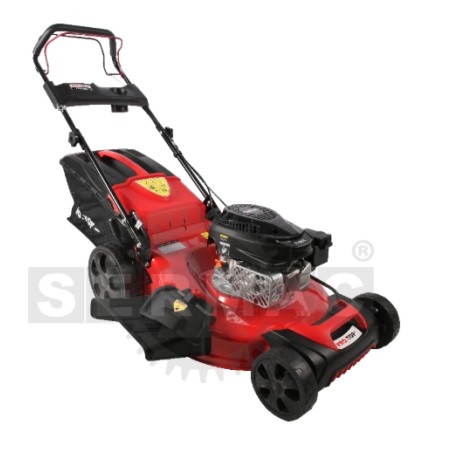 Tondeuse à gazon thermique PRO.TOP 170-56T 170 cm³ à propulsion arrière avec lame de 56 cm | Newgardenstore.eu