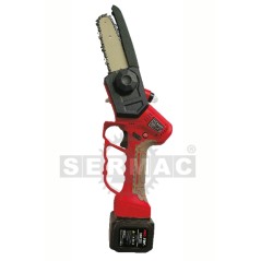 PRO.TOP 25V battery-powered mini chainsaw with 13cm bar, battery and charger included | Newgardenstore.eu