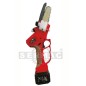 Motosierra mini PRO.TOP de 25 V con batería, barra de 13 cm, batería y cargador incluidos.