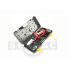 Motosierra mini PRO.TOP de 25 V con batería, barra de 13 cm, batería y cargador incluidos. | Newgardenstore.eu