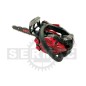 Motosega a scoppio da potatura leggera PRO.TOP T-261 25.4cc barra 25cm Carving