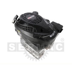 Complete lawnmower engine PRO.TOP M127-V 127cc 2kW shaft 22.20x62 mm | Newgardenstore.eu