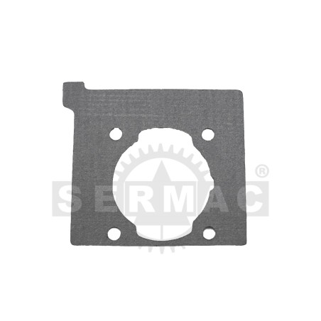 ZYLINDERDICHTUNGEN 54.160.1702 Kompatibel mit OLEO-MAC | Newgardenstore.eu