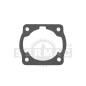 CYLINDER SEAL 54.160.1708 Compatible MITSUBISHI