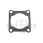 Junta de cilindro 54.160.1713 Compatible con STIHL