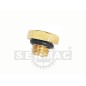 LOWER OIL DRAIN PLUG FOR PUMP GROUP I20-069 Compatible PROTOP BACKPACK SPRAYER