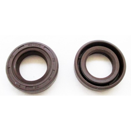 OIL SEAL EB 650 650.1.19 Compatible with TOPSO- ALPINA- CASTELGARDEN | Newgardenstore.eu