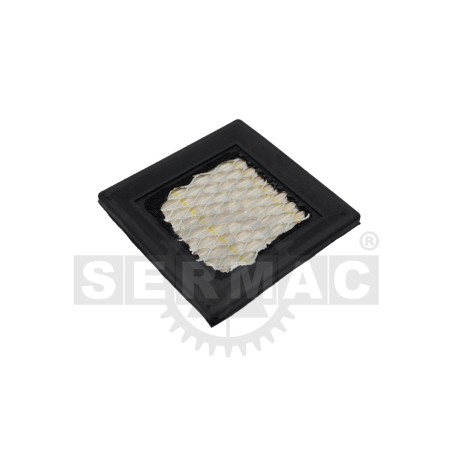 AIR FILTER 54.150.0650 Compatible TECUMSEH | Newgardenstore.eu