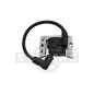 ACCENSIONE ELETTRONICA 54.100.1134 Compatibile TECUMSEH