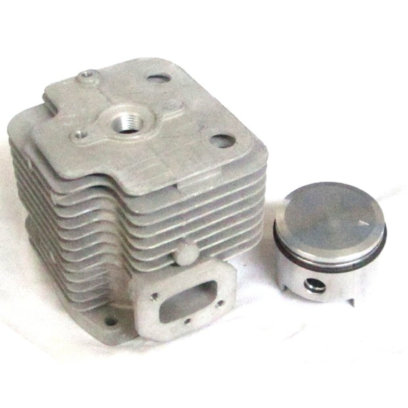 CYLINDRE ET PISTON 650.1.14 Compatible avec ALPINA - CASTELGARDEN - ECHO - TOPSO