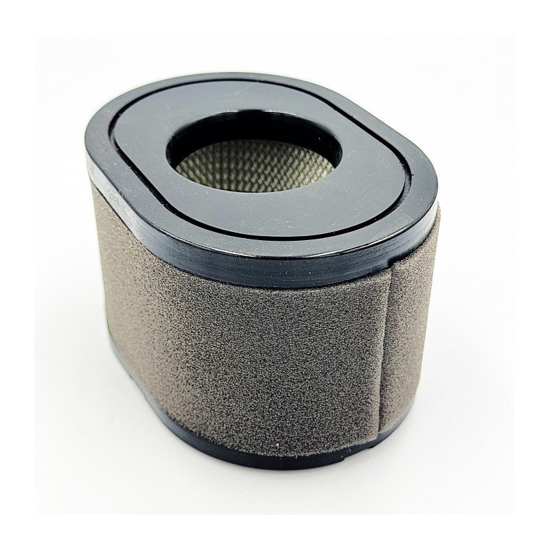 Motor Al-Ko Pro 700V2 Lc2P77F 476858 ORIGINAL AL-KO Motor Al-Ko Pro 700V2 Lc2P77F 476858 ORIGINAL AL-KO