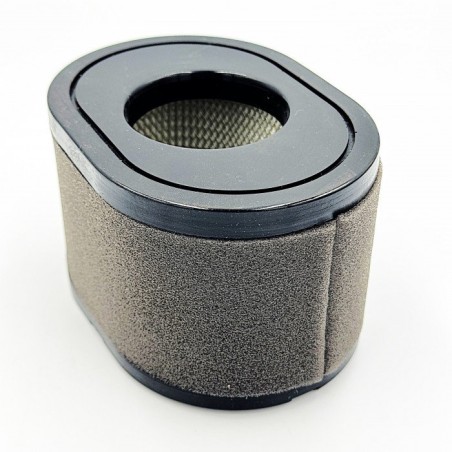 Motore Al-Ko Pro 700V2 Lc2P77F 476858 ORIGINALE AL-KO | Newgardenstore.eu