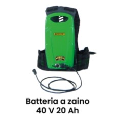 ACTIVE 40V 20Ah Rucksackakku mit Ladegerät und Tragegurt | Newgardenstore.eu