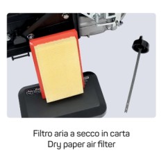 Motor gasolina completo ZONSEN XP200 197cc para cultivador, eje vertical 22x60 | Newgardenstore.eu