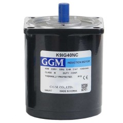 MOTOR GGM K9IG40NC CA 40 W 6 rpm 90 x 90 mm
