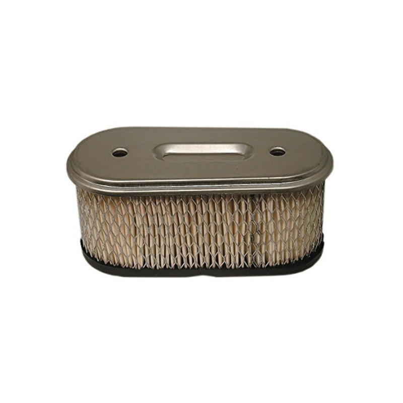 Filtro aria trattorino VANGUARD 14HP 260700-261700 BRIGGS&STRATTON 491021 192065