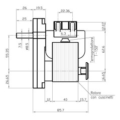 Moteur à engrenages KENTA K9117156 5 tr/min H40 | Newgardenstore.eu