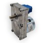 MOTORIDUTTORE IPC 3,5rpm ALBERO 9,5mm 15