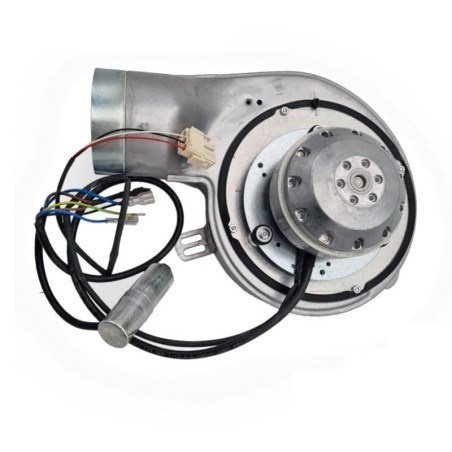 ESTRATTORE EBM G2E150 DK82-15 41W | Newgardenstore.eu