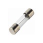 Pack of 10 FUSES 1.6A FAST 5x20mm