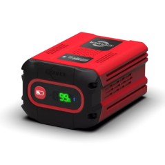 Batteria al litio CRAMER 2.5 Ah 82 V fino a 500-600 mq con una carica | Newgardenstore.eu