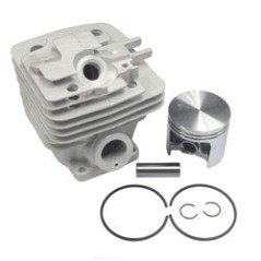 KIT C+P ADAPTADOR STIHL MS361 AG2205087 Compatible STIHL