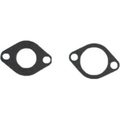 CARBURADOR ROBIN EH12 EH122 ADAPTABLE AG0440127 Compatible ROBIN | Newgardenstore.eu