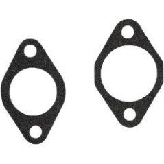 ROBIN EX30 CARBURETOR ADAPTABLE AG0440142 Compatible ROBIN | Newgardenstore.eu