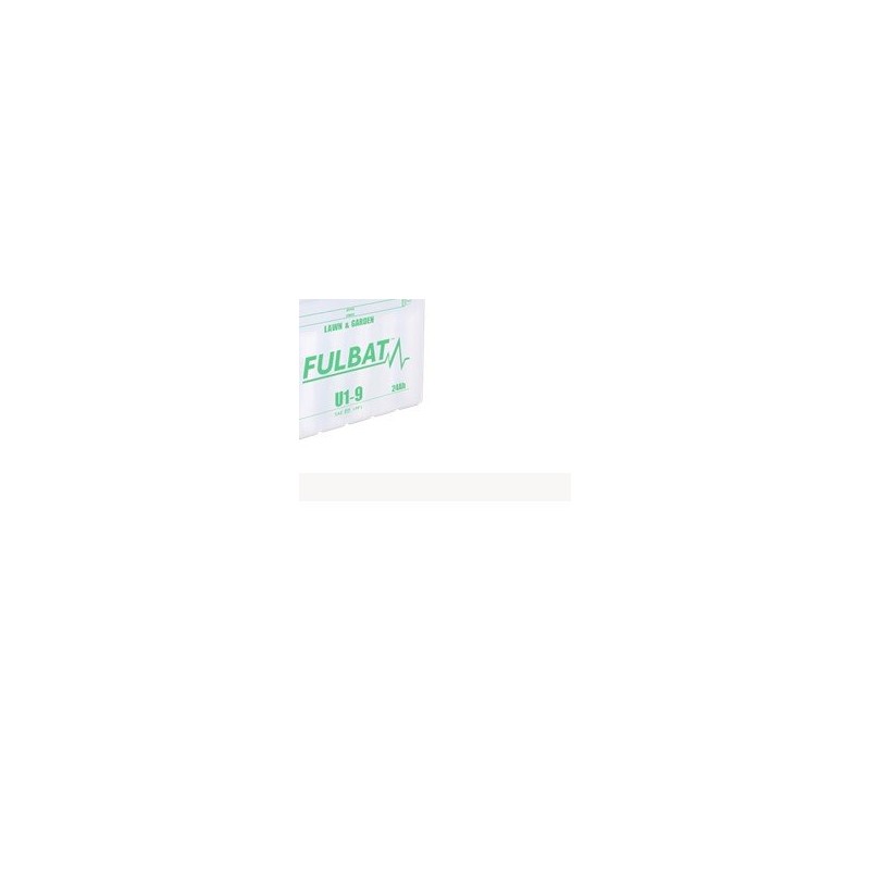 BATTERIA 12V-24AH AG0200240 Compatibile