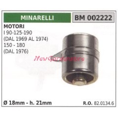 Condensateur moteur MINARELLI moteur houe I 90 125 190 150 180 002222 | Newgardenstore.eu